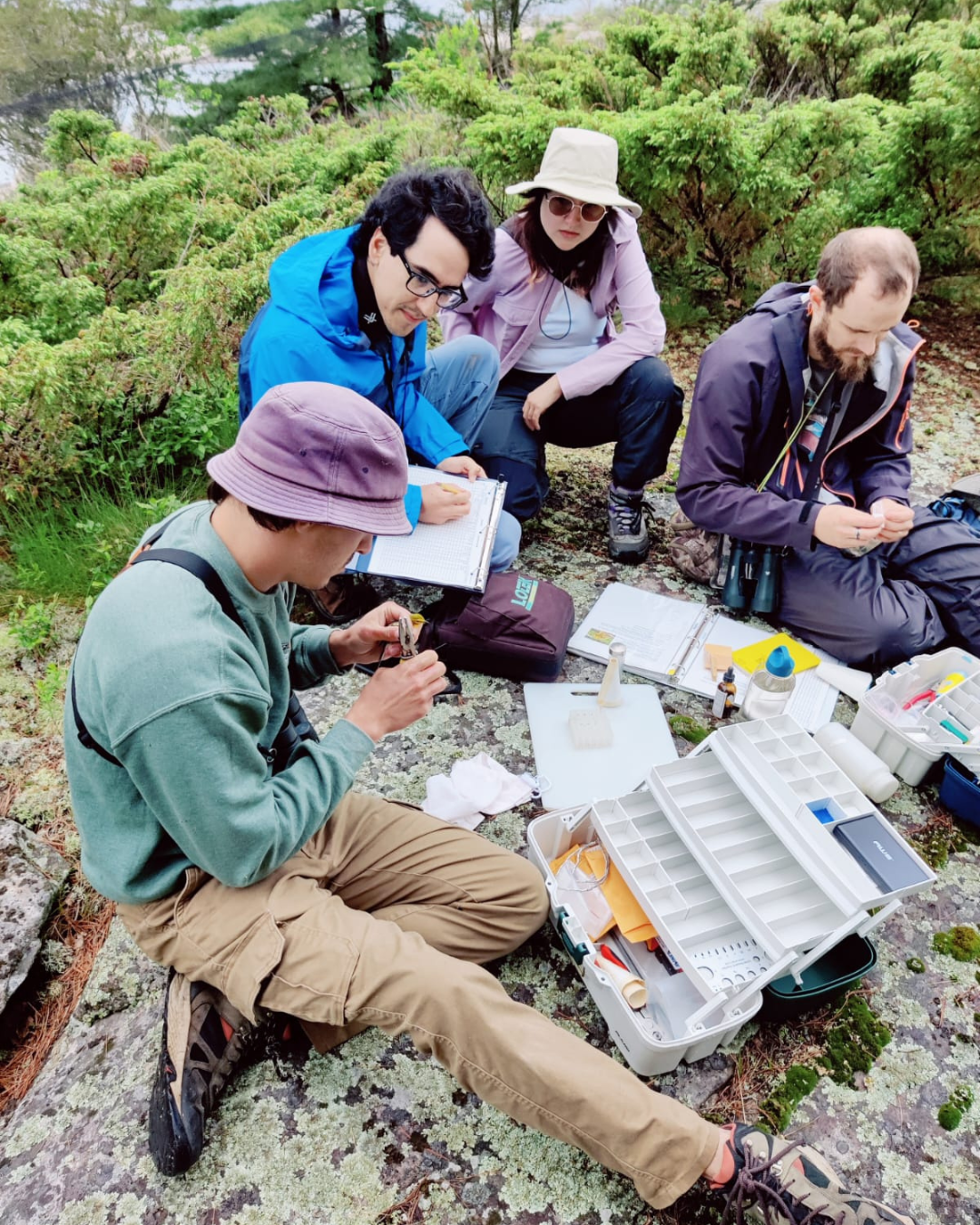 Four scientists sit on the ground as they band a Prairie Warbler