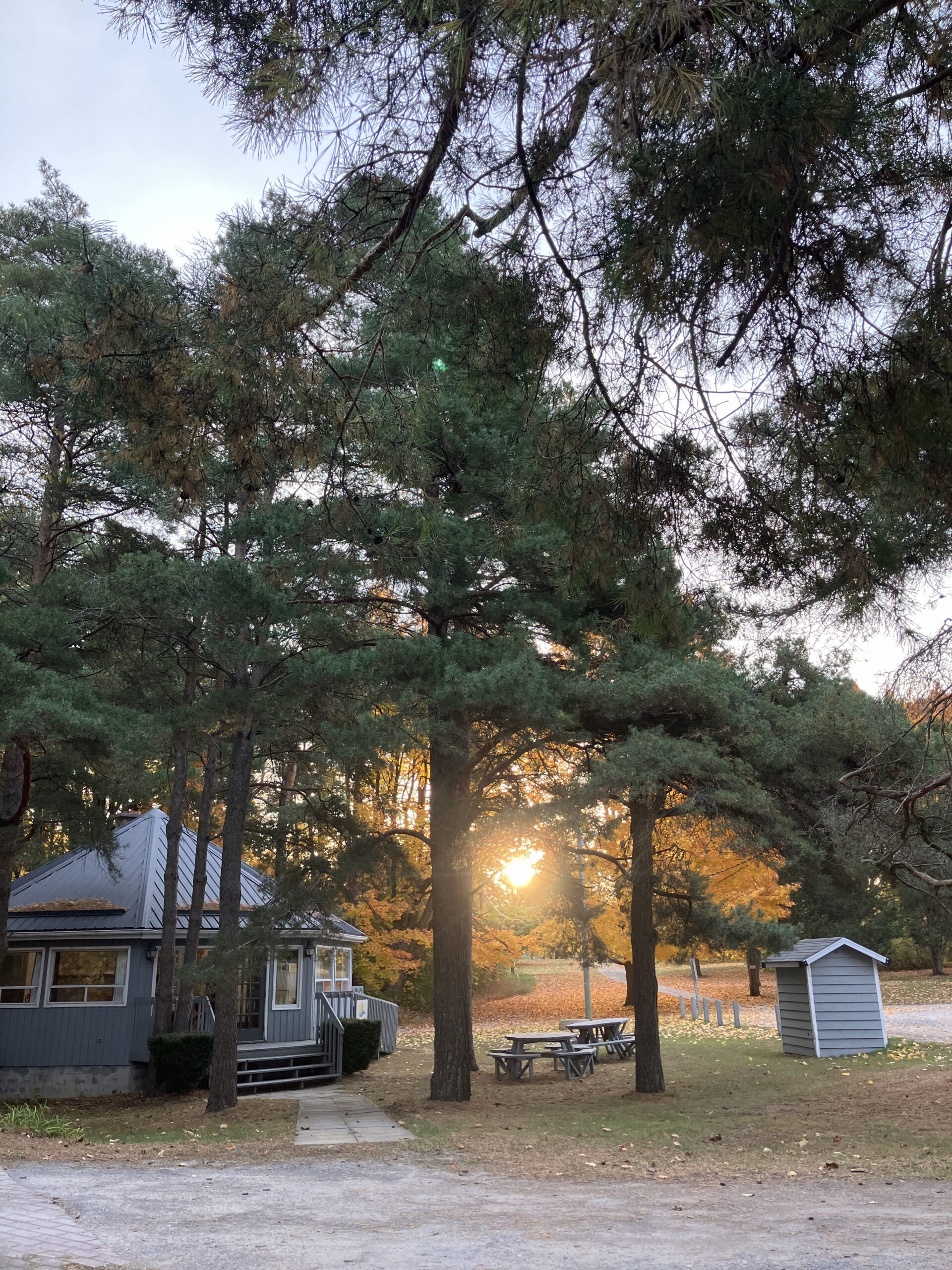 Supporting Indigenous Land Conservation through Land Trusts: during National Indigenous History Month and throughout the year