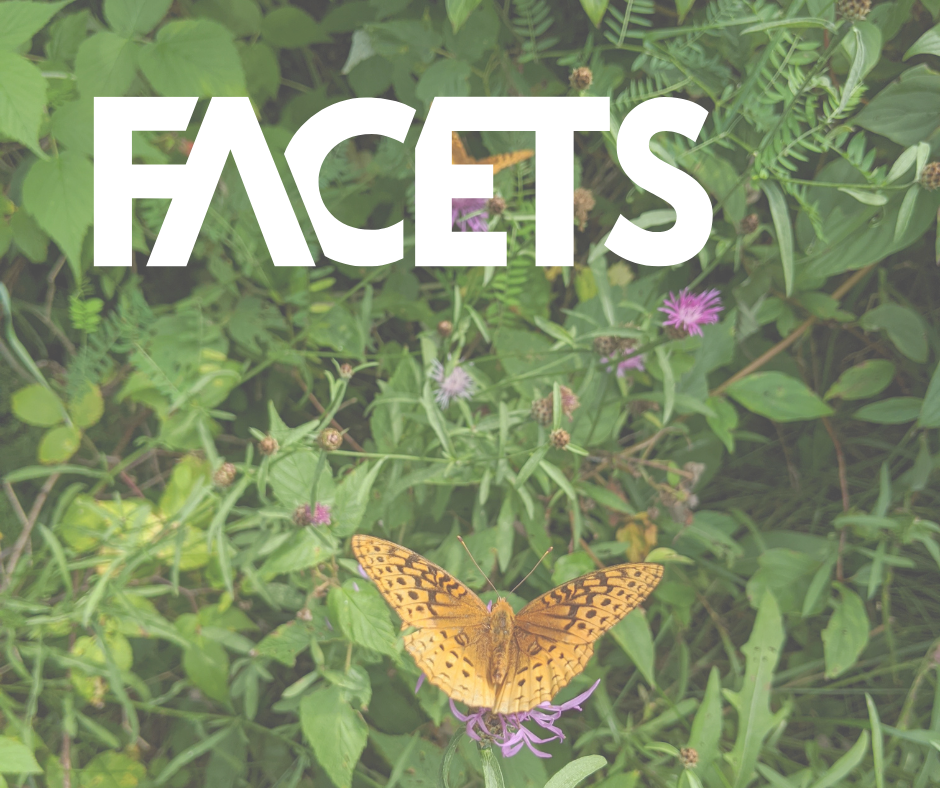 Read all about it! Helping Land Trusts Prepare for a New Climate, in Facets Journal