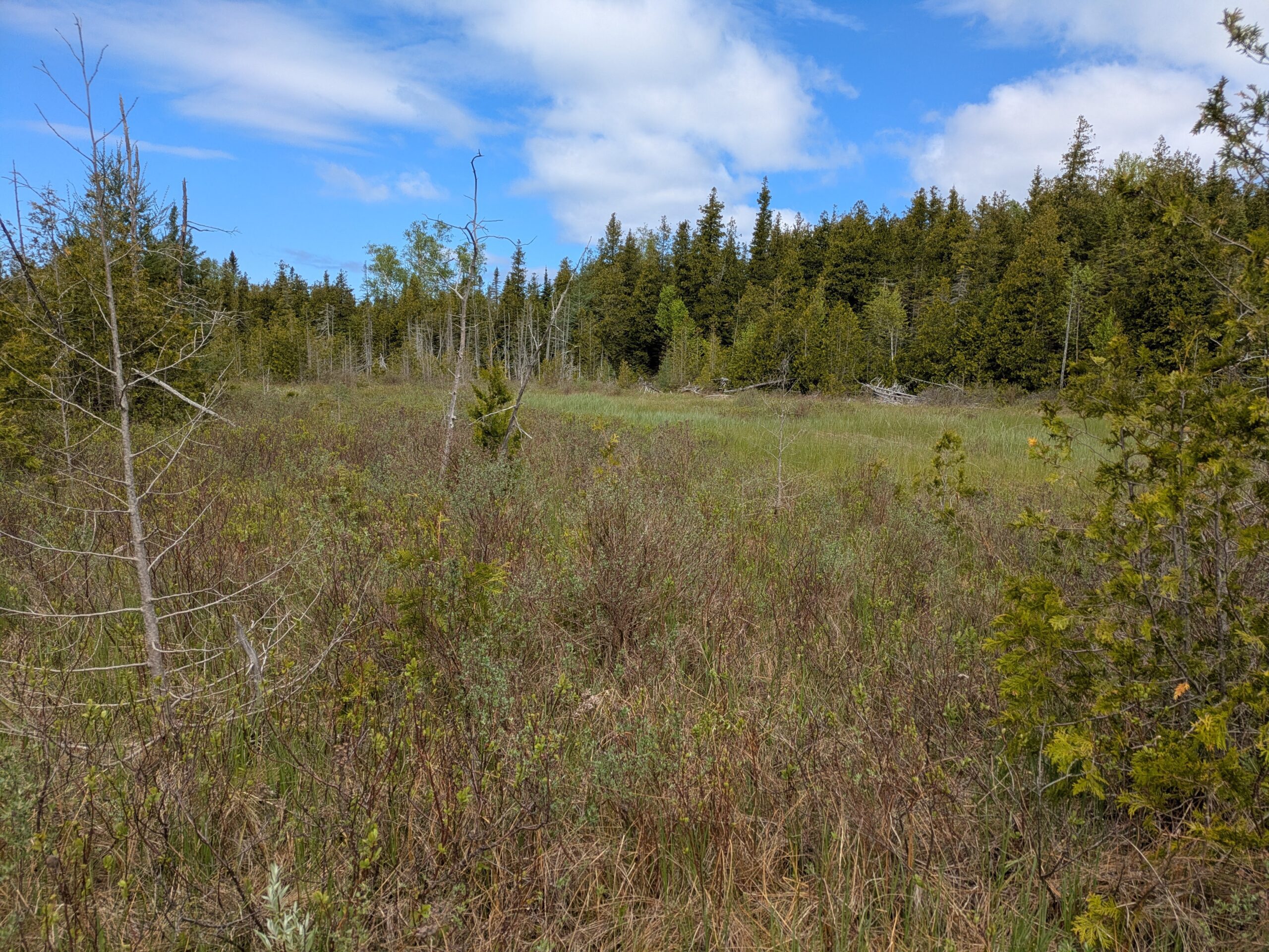 Greenough and North Bruce Wilderness Alliance