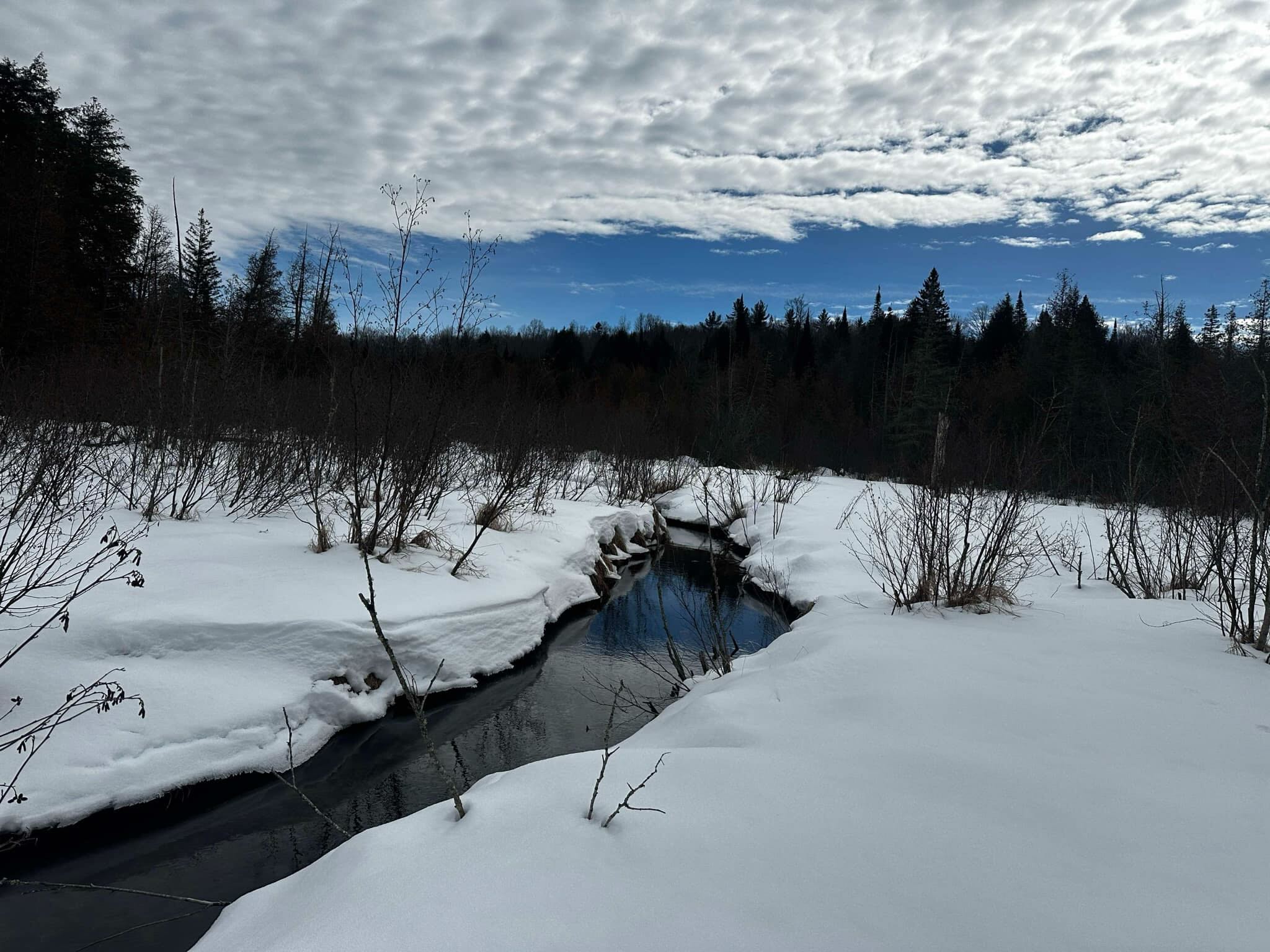 Aird Creek MapleCross Nature Reserve