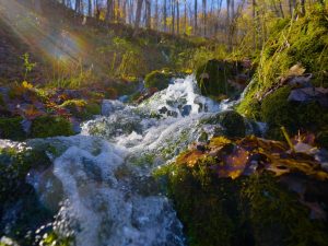 Bruce Trail